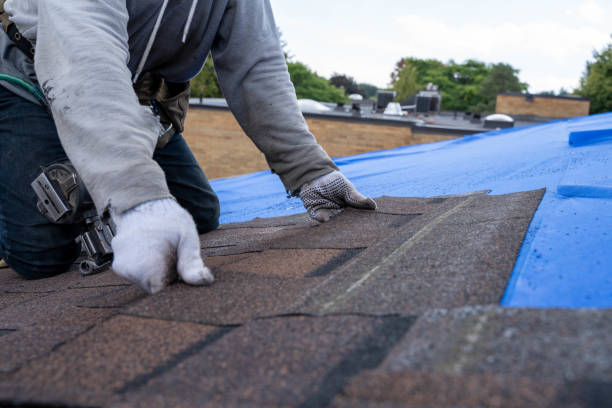 Quick and Trustworthy Emergency Roof Repair Services in Ahoskie, NC