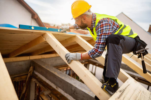 Roof Gutter Cleaning in Ahoskie, NC